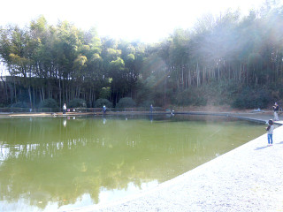 Dscn4875
