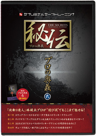 Hiden_pro2