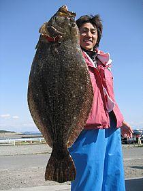 Hirame48