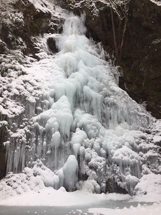 Image1_2