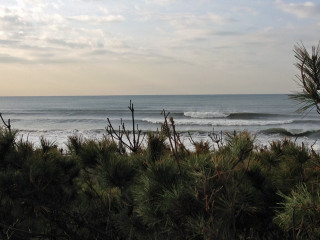 Image32_nami