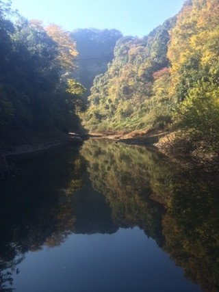Image336_2