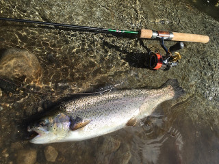 Image394_2
