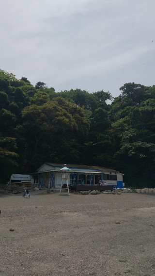 Image65