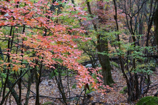 Img_5801