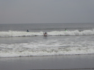 Imgp0110