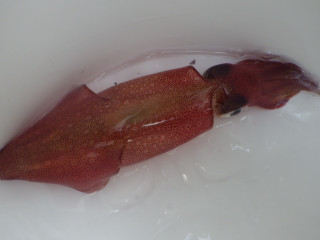 Imgp0396