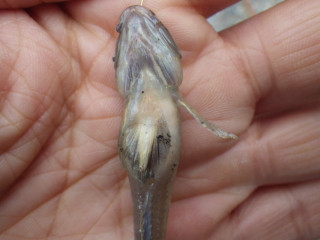 Imgp0477