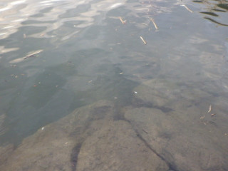 Imgp0489_2