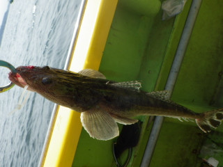 Imgp0969_3