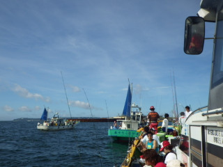 Imgp1098