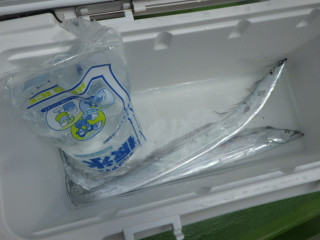 Imgp1101