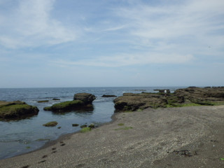 Imgp1137