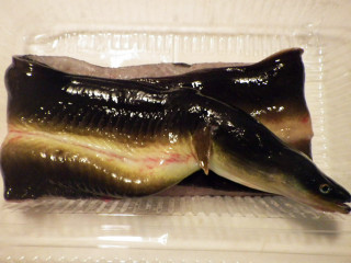 Imgp1321