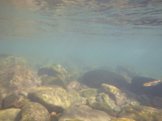 Imgp1340_4