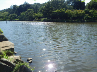 Imgp1432