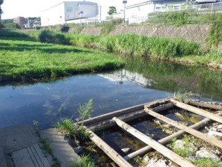 Imgp1450