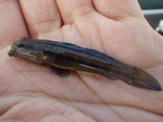 Imgp1534_2