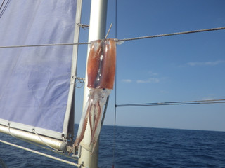 Imgp1907_2