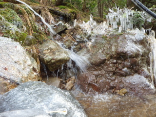 Imgp2243