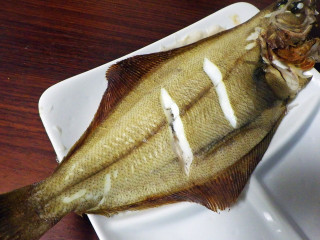 Imgp2737