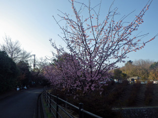 Imgp3337