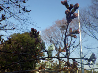 Imgp3427