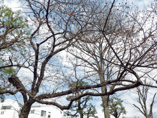 Imgp3436