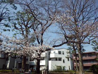 Imgp3449