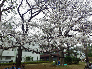 Imgp3462