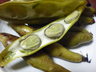 Imgp3486_2