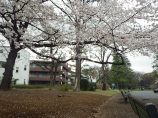 Imgp3551