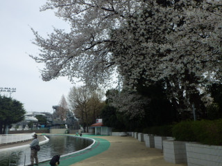 Imgp3553