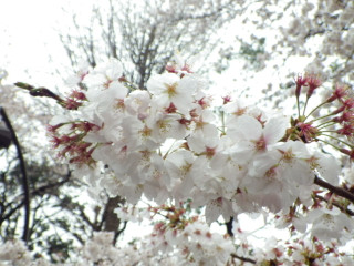 Imgp3590