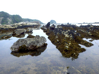 Imgp4319 Imgp4319
