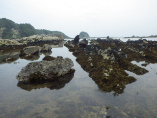 Imgp4319