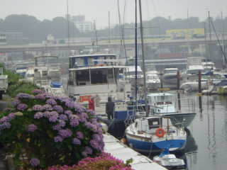 Imgp4383