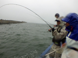 Imgp4447_1
