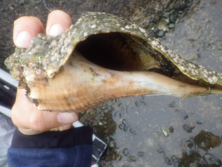 Imgp4483