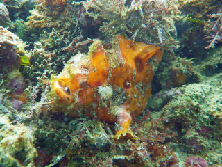 Imgp4503_2
