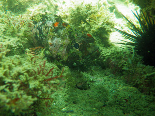 Imgp4512_2