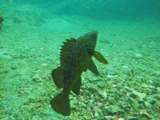 Imgp4516