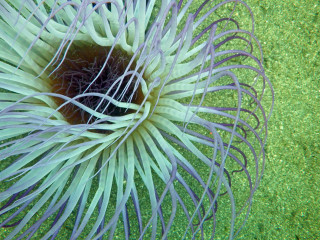 Imgp4558_2