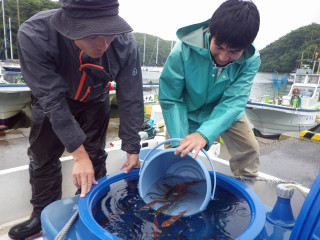 Imgp4570_1