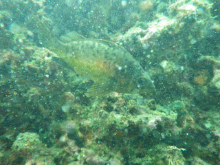 Imgp5019