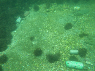 Imgp5029_2