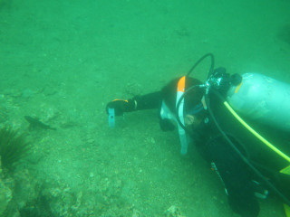 Imgp5033