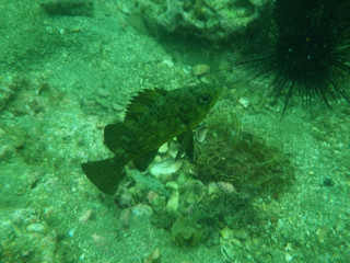 Imgp5035