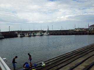 Imgp5309