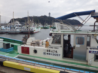 Imgp5784